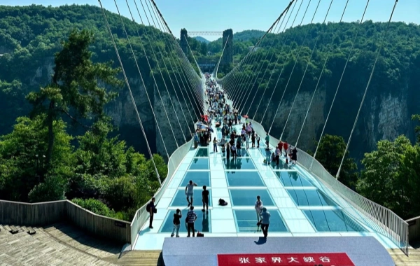 boliqiao.webp