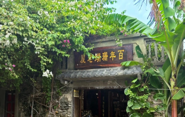Coral stone houses.webp