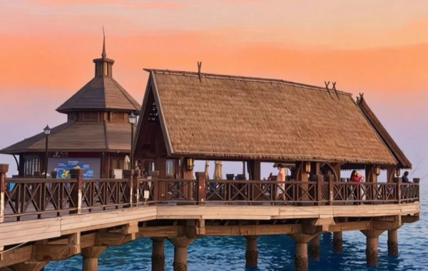 Sea library.webp