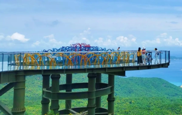 Glass treetop walk.webp