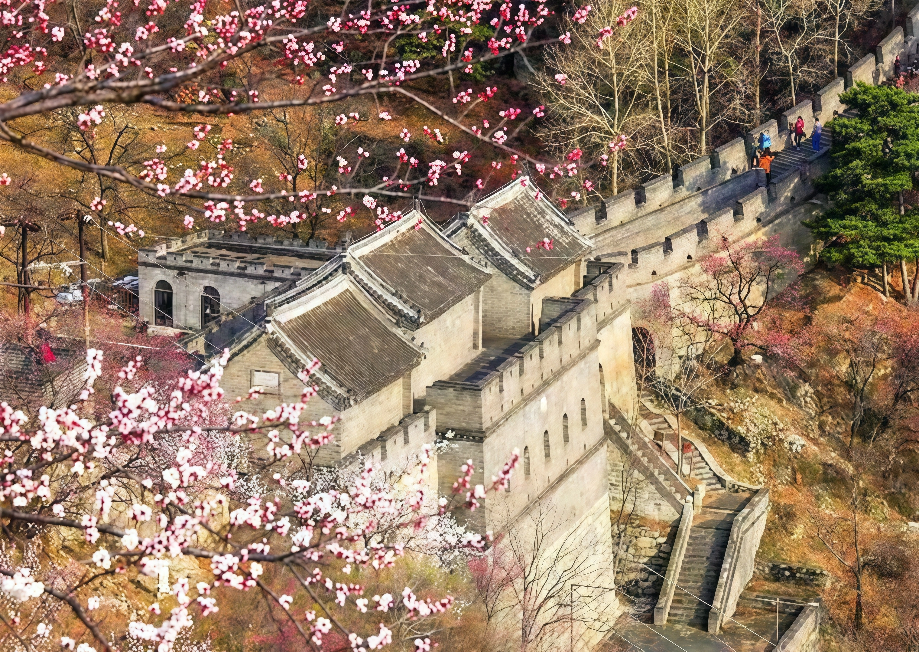 muyutian.webp