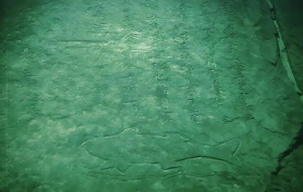 9:30 AM–White Crane Ridge Underwater Museum