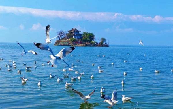 Xiaoputuo Island (photo stop, no island access)