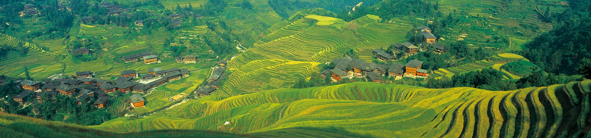 5-Day Private Tour in Guilin