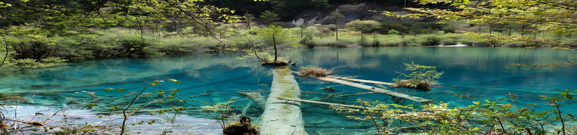Shanghai-Chengdu 6-Days Highlights Tour