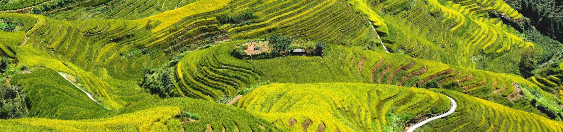 6 Days Guilin, Chongqing Cultural & Natural Tour