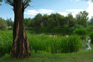 1-Day Dali Cultural Tour