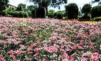 Day 1: Kunming Arrival