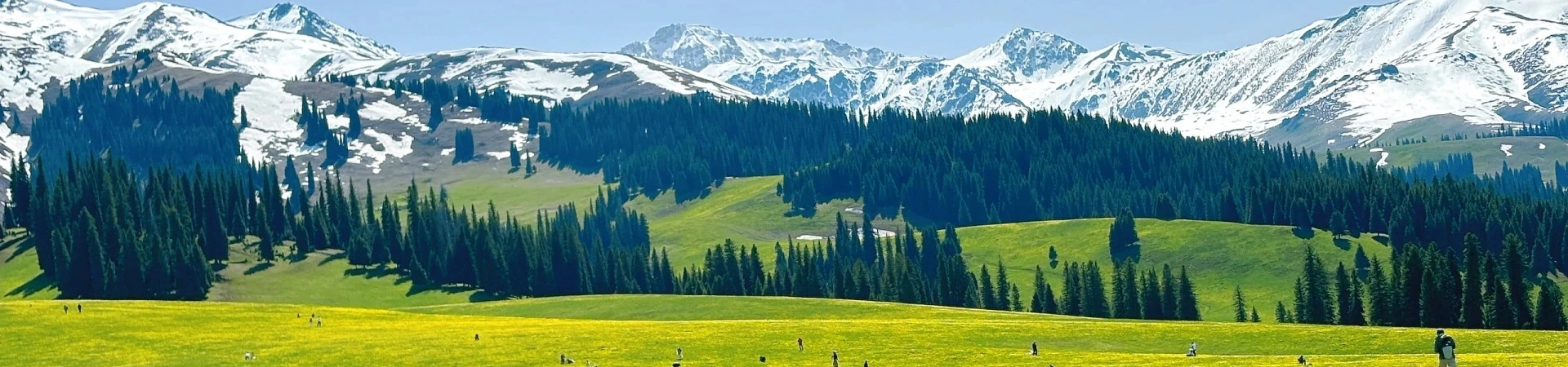 Xinjiang Tours