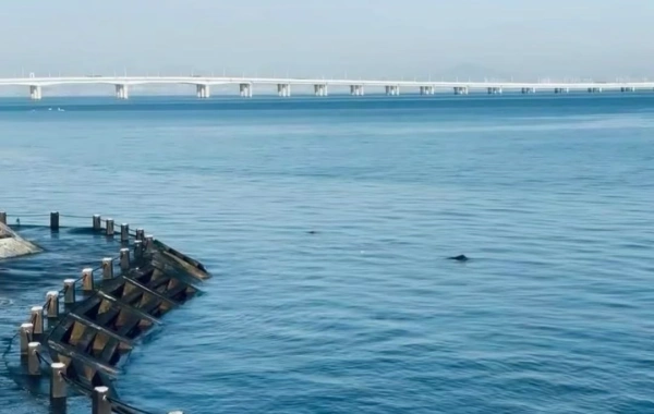 Day 7: Xiamen Departure