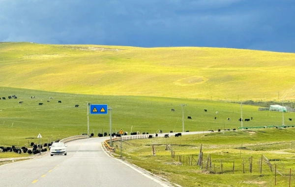 Day 2: Riyue Mountain - Qinghai Lake