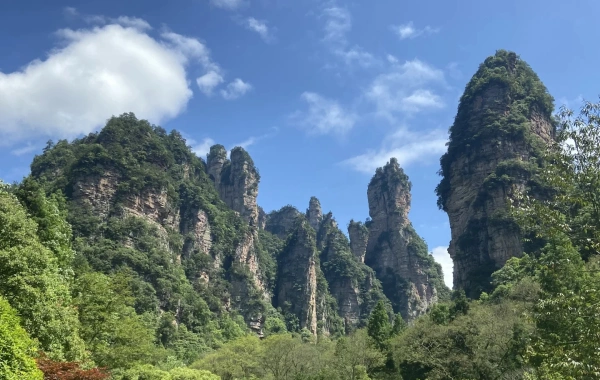 Day 4：Zhangjiajie