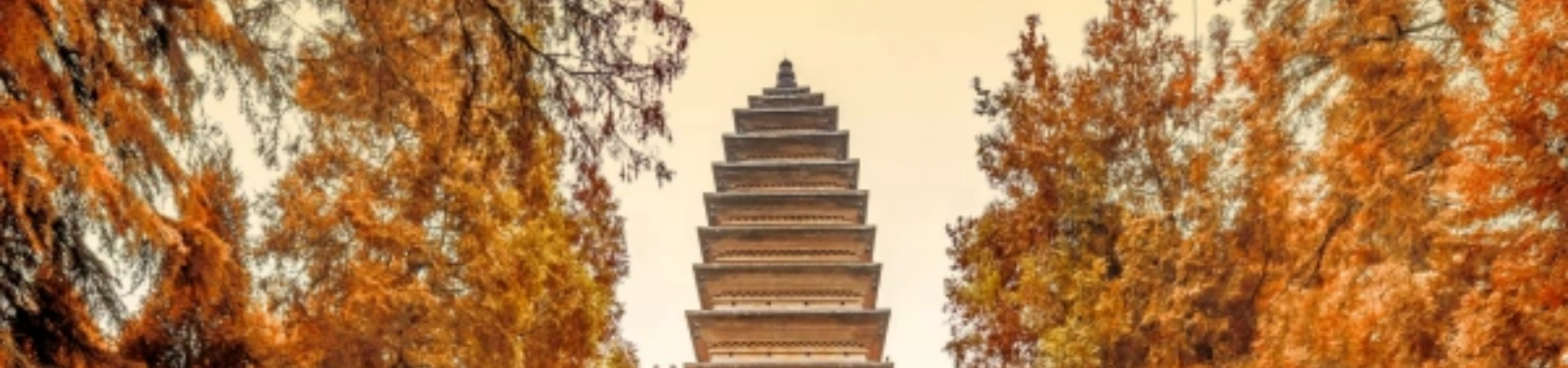 1- Day Xi'an Ancient Ruins Trip