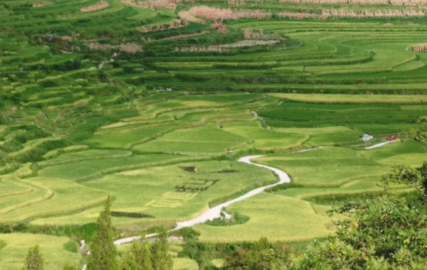 Day 8: Rongjiang - Kaili 