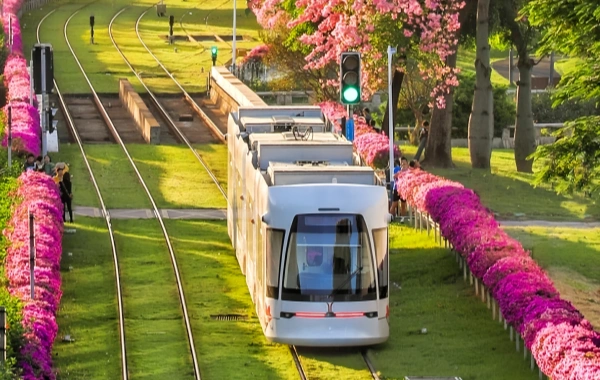 Day 6: Guangzhou Departure