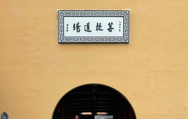 Day 8: Shanghai Departure