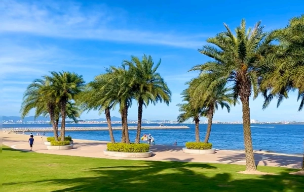 One Day in Xiamen: Exploring Gulangyu Island