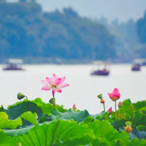 The 5-Day (Shangrao, Huangshan, Hongcun) Private China Escape: Mystical Cliffside Valley & Ancient Villages