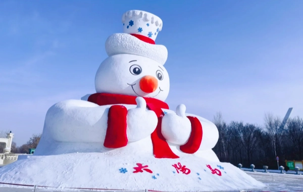 Harbin Winter Wonderland: 5-Day Ice & Snow Odyssey