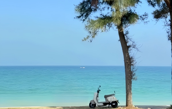 Shell Beach