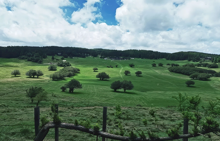 Fairy Mountain (Xiannüshan) Chongqing