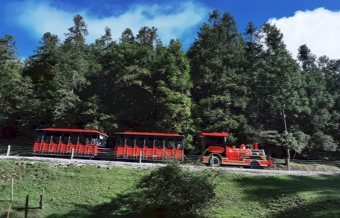 Fairy Mountain (Xiannüshan) Chongqing