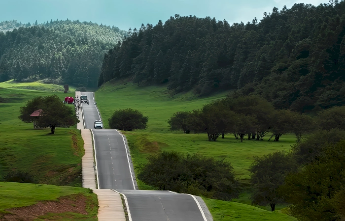 Fairy Mountain (Xiannüshan) Chongqing