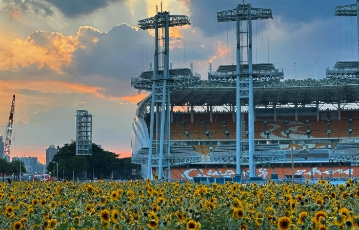 haixinsha island guangzhou