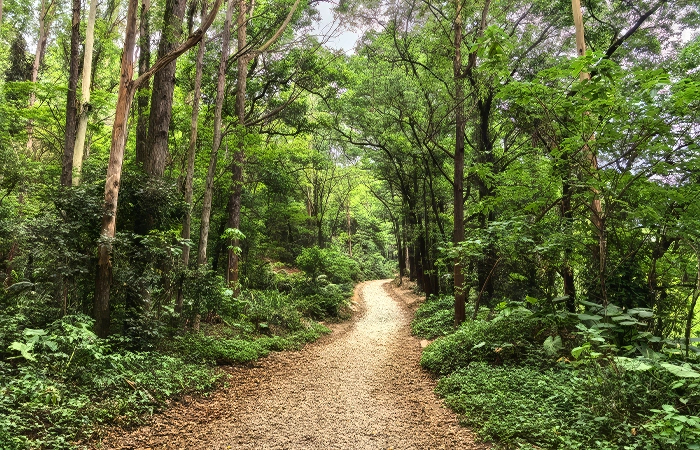 guangzhou hiking