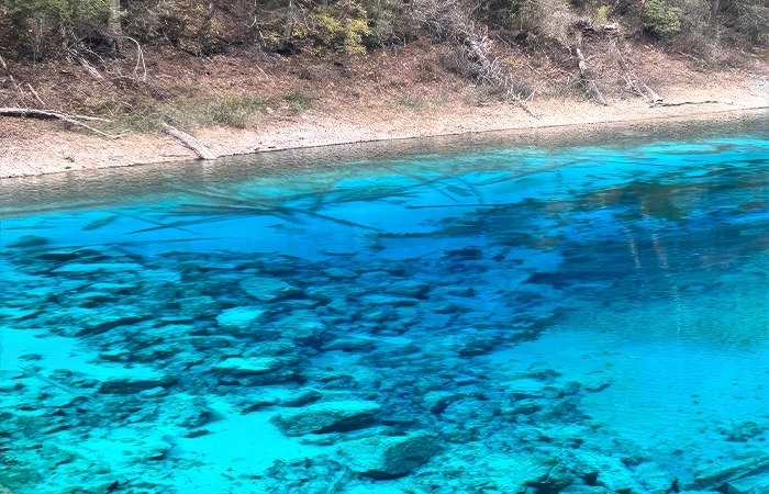 jingpo lake