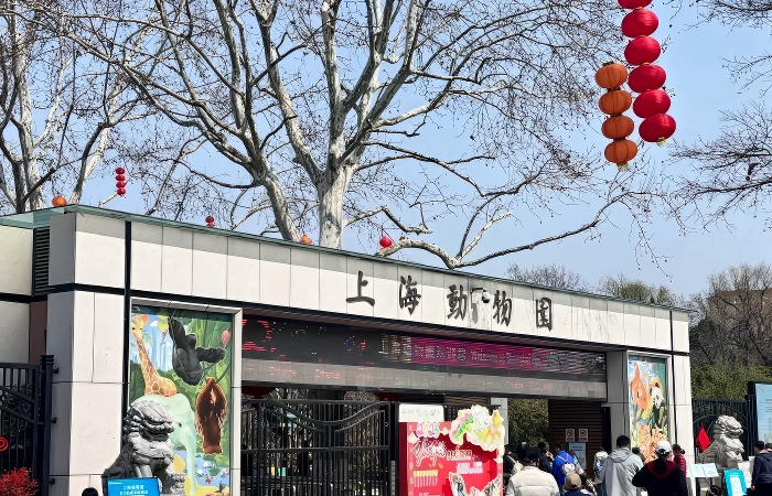 zoologico shanghai