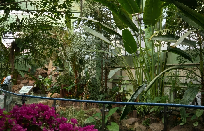 zoologico shanghai