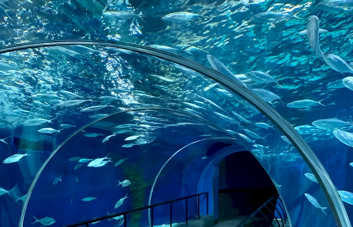 shanghai family attractions