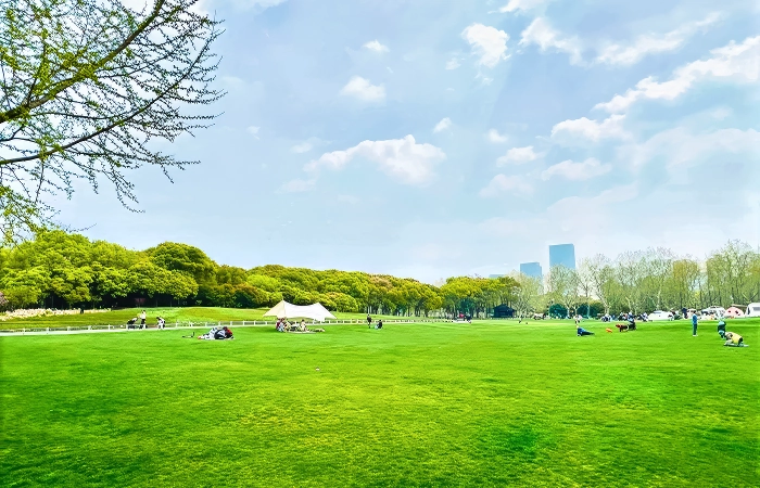 shanghai family attractions