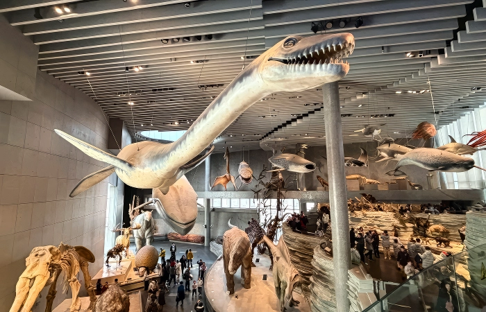 shanghai family attractions