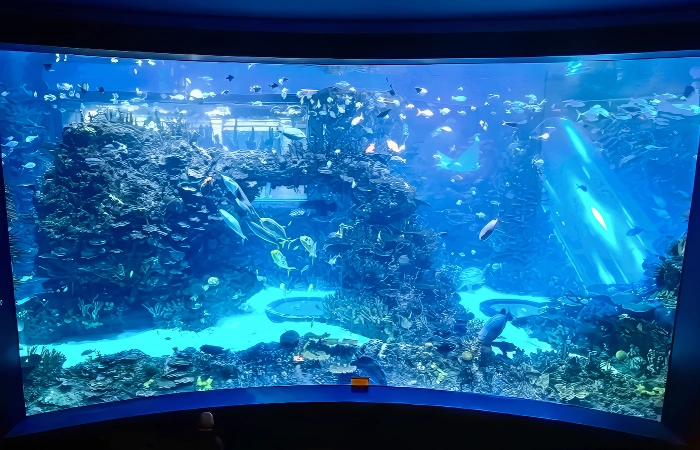 beijing aquarium