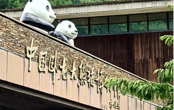 Panda and Kungfu Tour