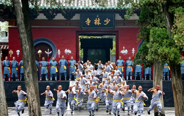 Panda and Kungfu Tour