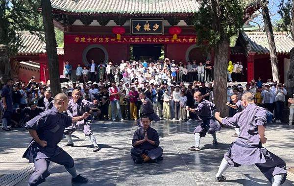 Panda and Kungfu Tour