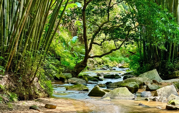 China Trekking Tour