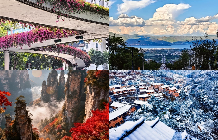 Best time to visit