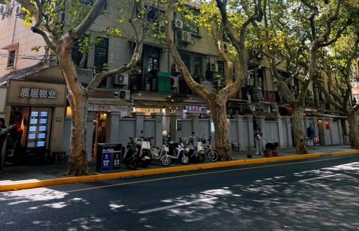 Fuxing Road tree-lined street in Shanghai