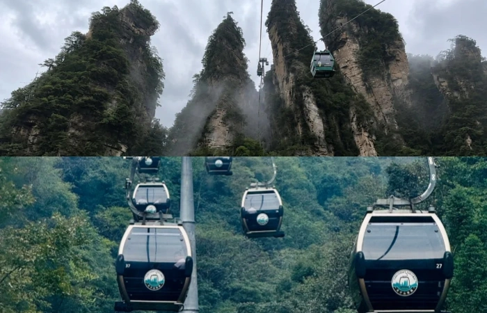 Tianzi Mountain and the Peak Forest Views