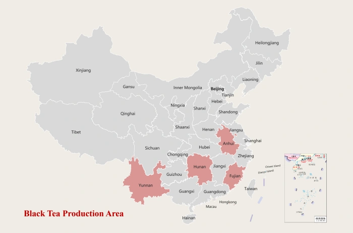 China Black Tea Production Area
