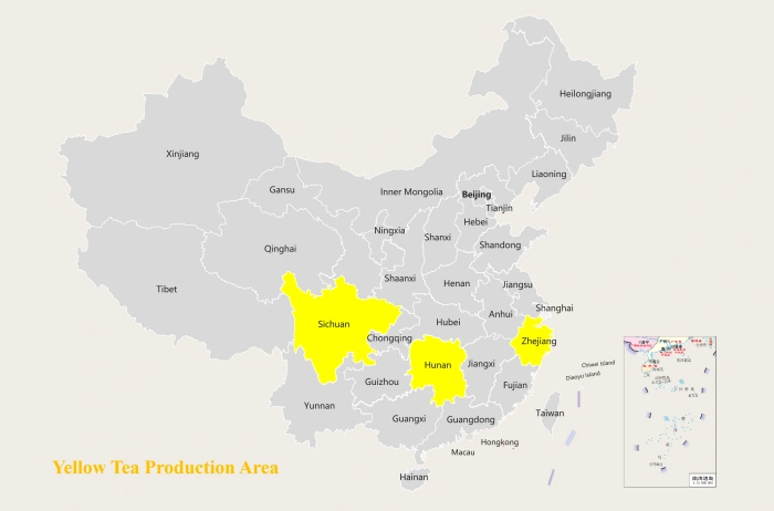 China Yellow Tea Production Area