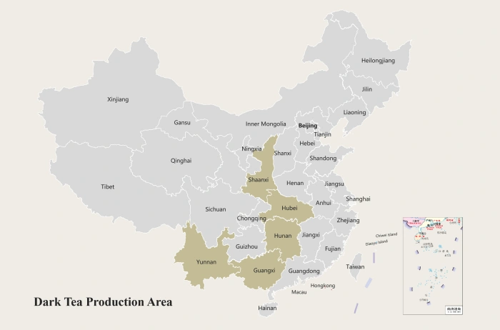 China Dark Tea Production Area