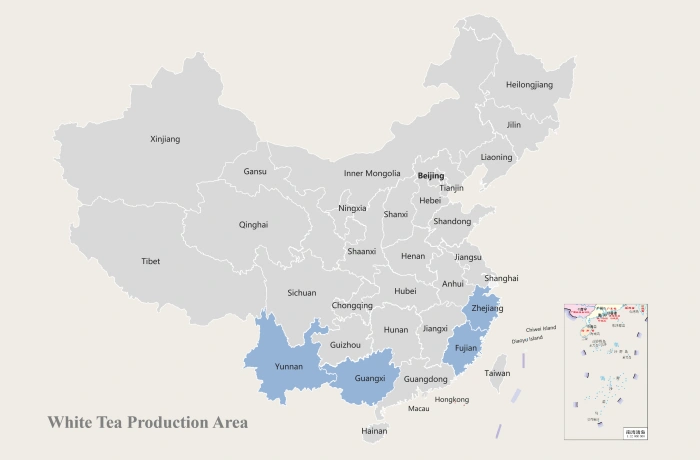 China White Tea Production Area