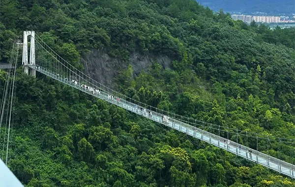 Sky Bridges