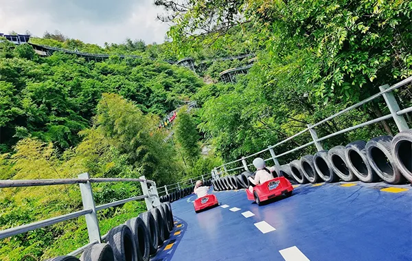 Mountain Coaster